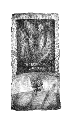 THE BEGINNING LARGE BREED