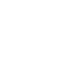 LEMI